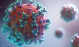 Emerging Infectious Diseases: What You Need to Know