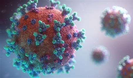 Read more about the article Emerging Infectious Diseases: What You Need to Know